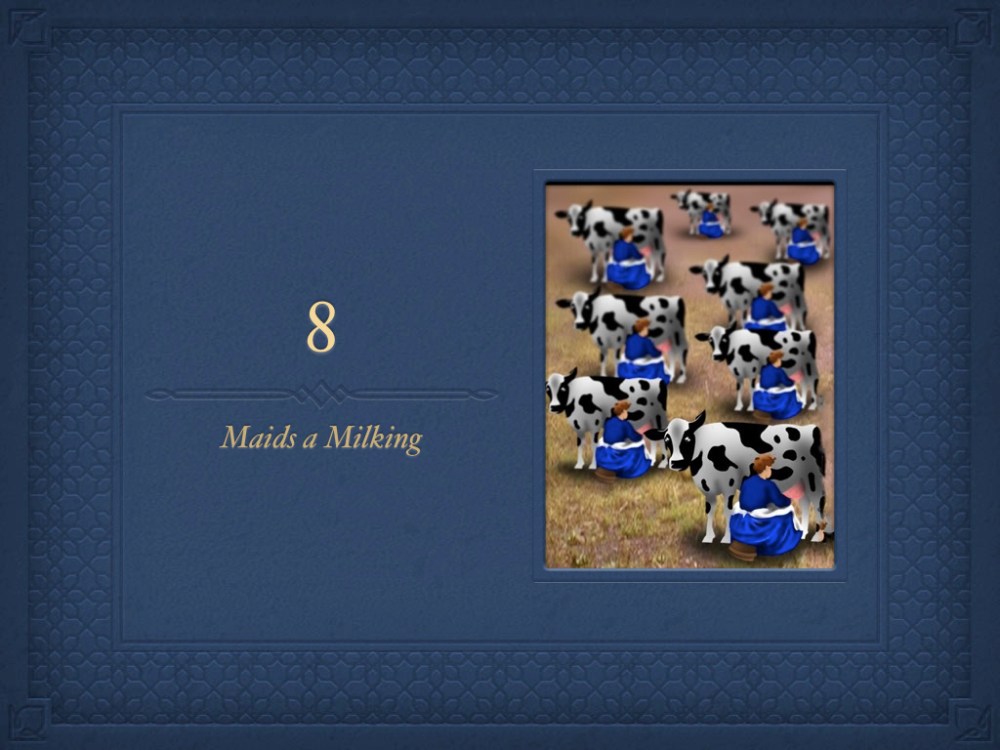 8 Miads a Milking.001