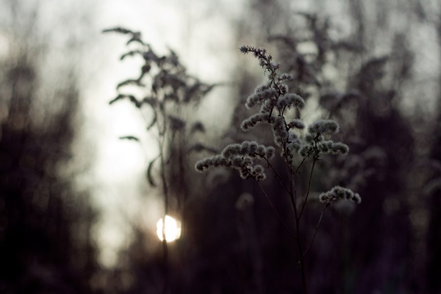 it__s_getting_dark_under_the_smoking_hill_by_boiledfrog-d5pf32h