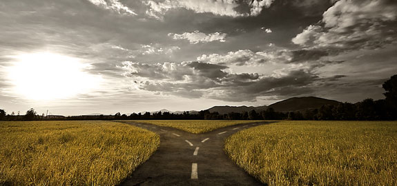 investment-choices-panoramic_13214